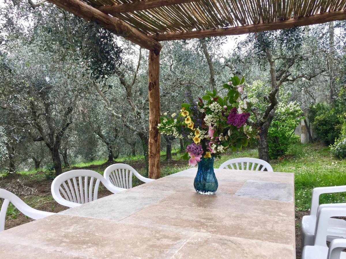 Agriturismo Fattoria Celle Фильине-Вальдарно Экстерьер фото
