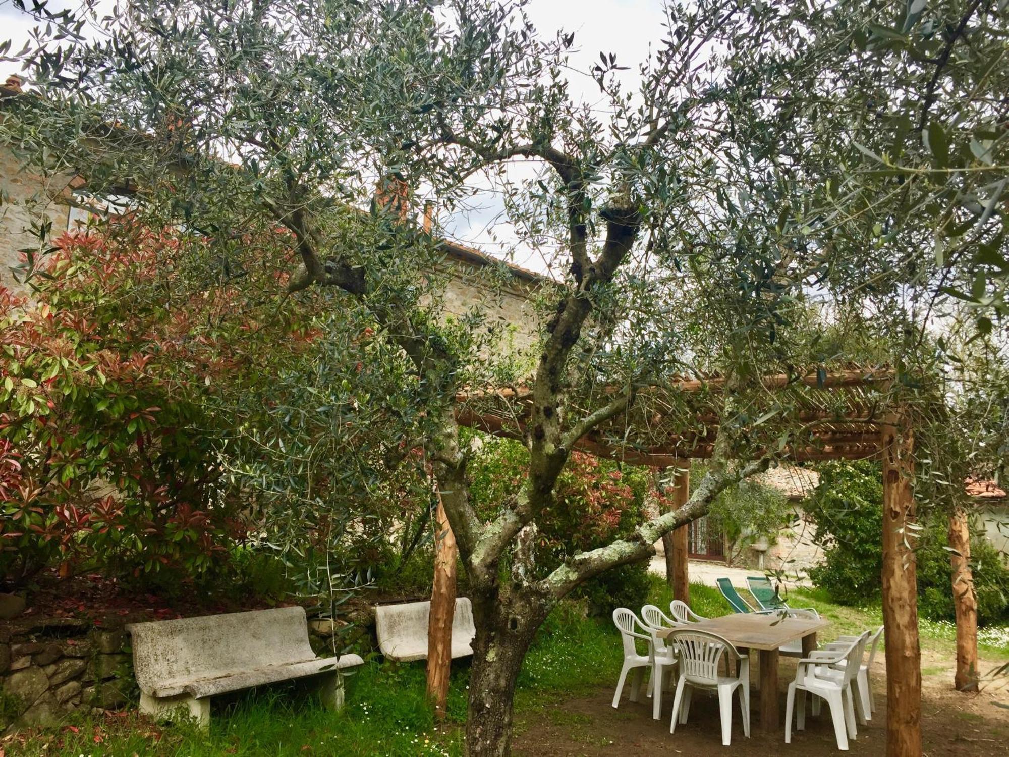 Agriturismo Fattoria Celle Фильине-Вальдарно Номер фото
