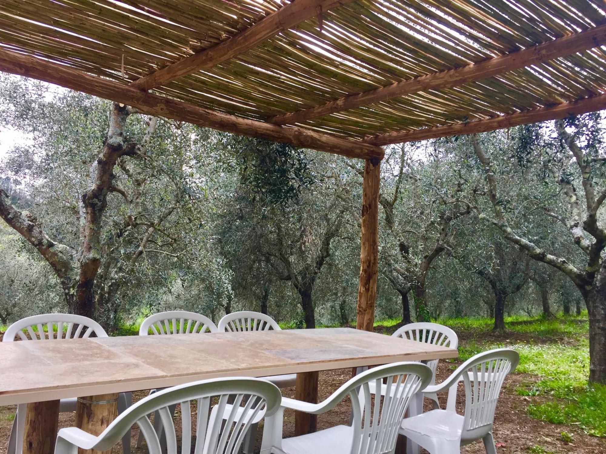 Agriturismo Fattoria Celle Фильине-Вальдарно Номер фото