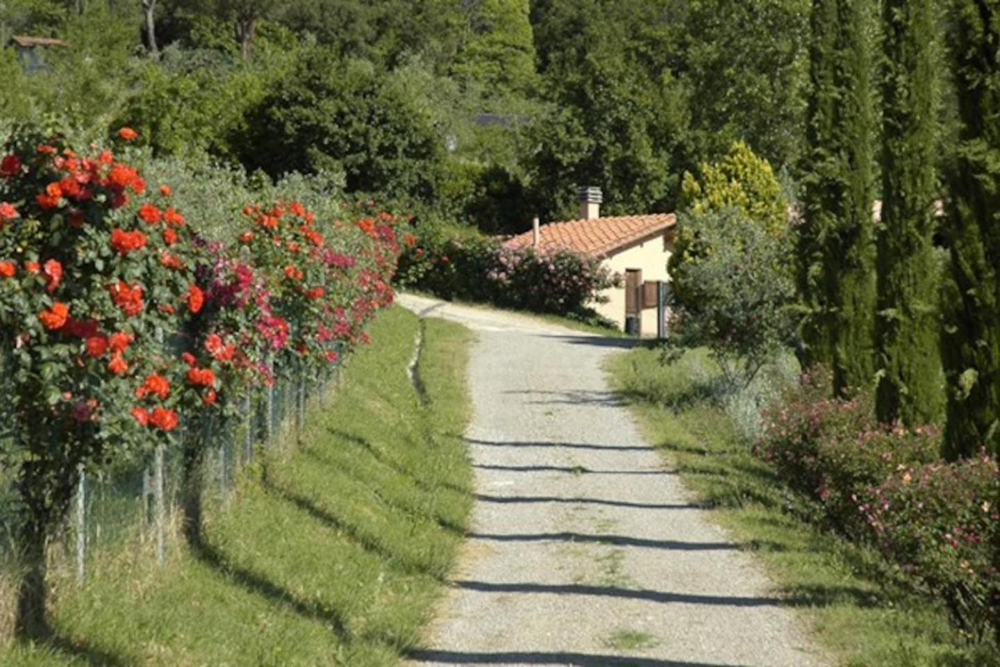 Agriturismo Fattoria Celle Фильине-Вальдарно Номер фото